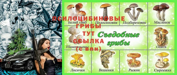 хмурый Арсеньев