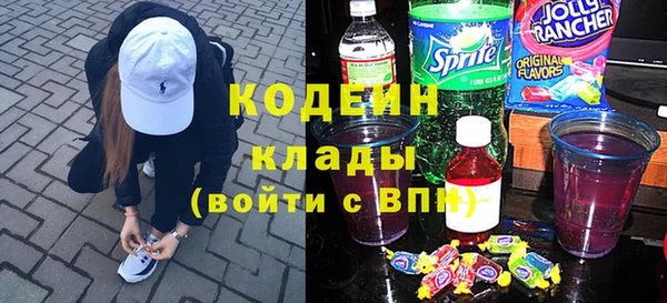 индика Аркадак