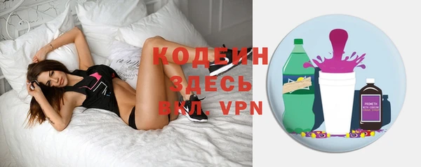 хмурый Арсеньев