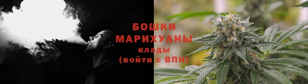 индика Аркадак