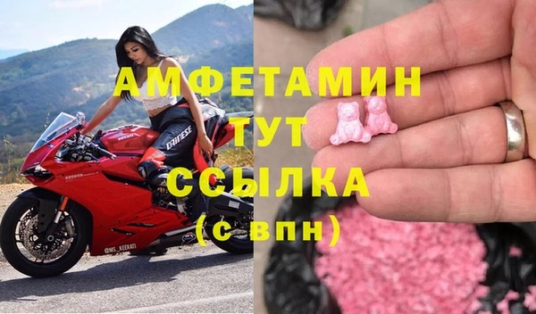 индика Аркадак