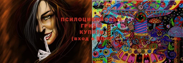 индика Аркадак