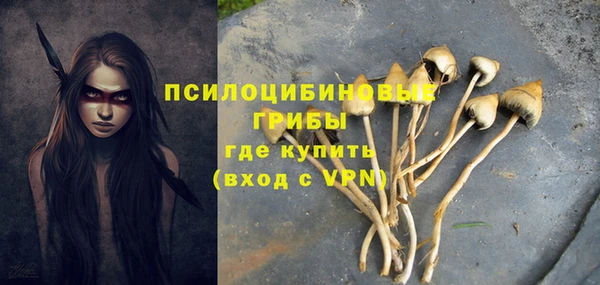 не бодяженный Армянск