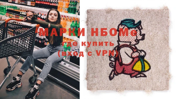 хмурый Арсеньев