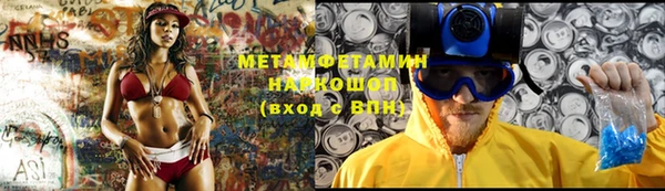 индика Аркадак