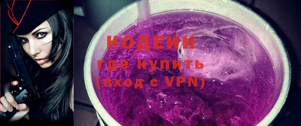 хмурый Арсеньев