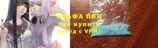 индика Аркадак