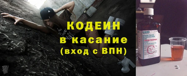 хмурый Арсеньев