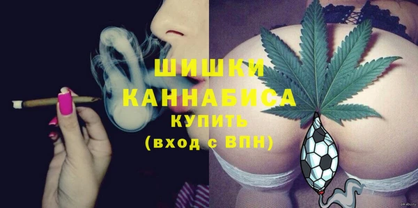 индика Аркадак